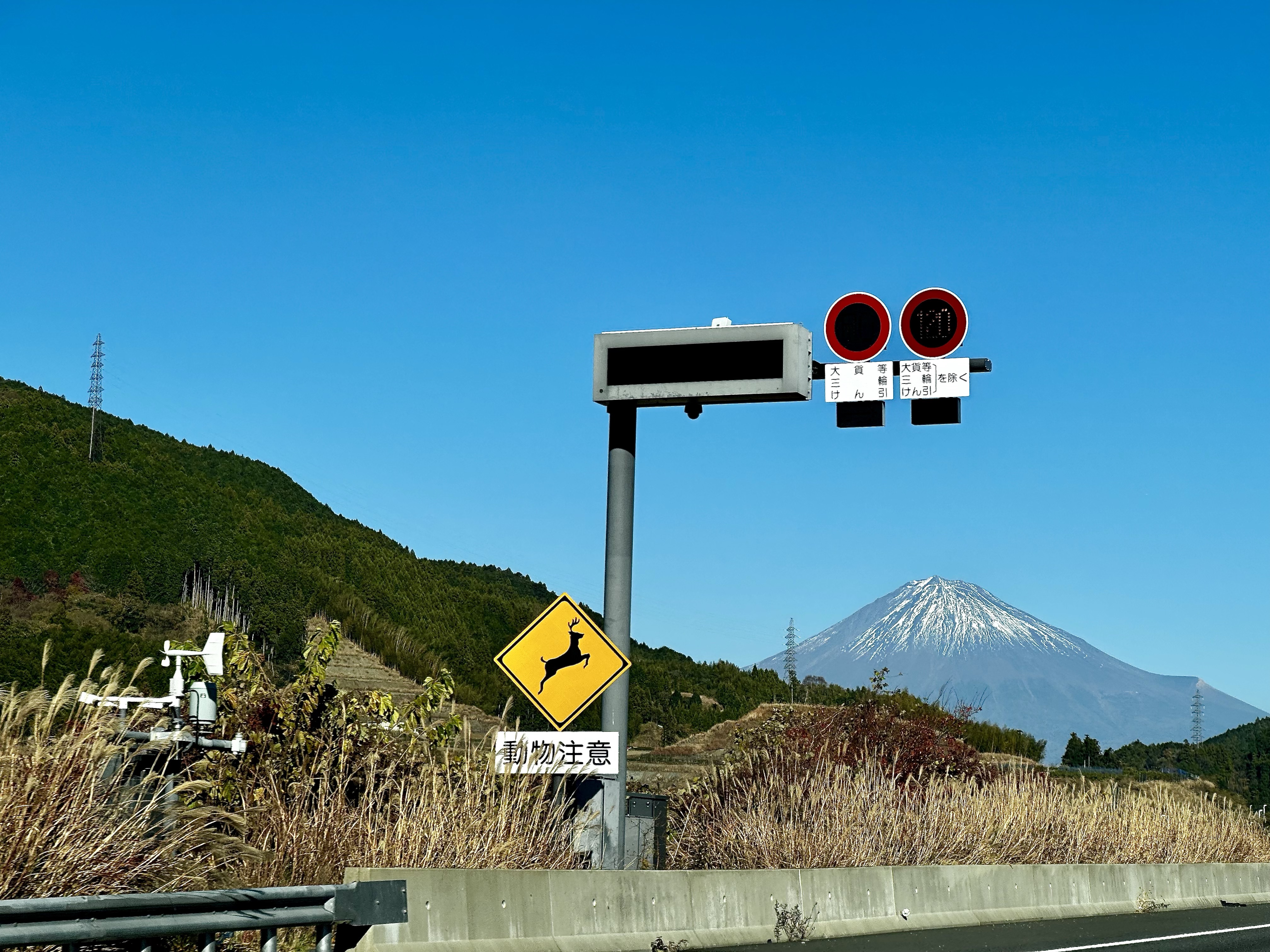 22B53549-F200-4F8B-993D-2B62F5CAF985_1_201_a