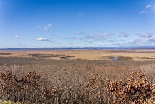 2646FD72-8B03-41FD-BCF8-C9204DDEE1ED_4_5005_c