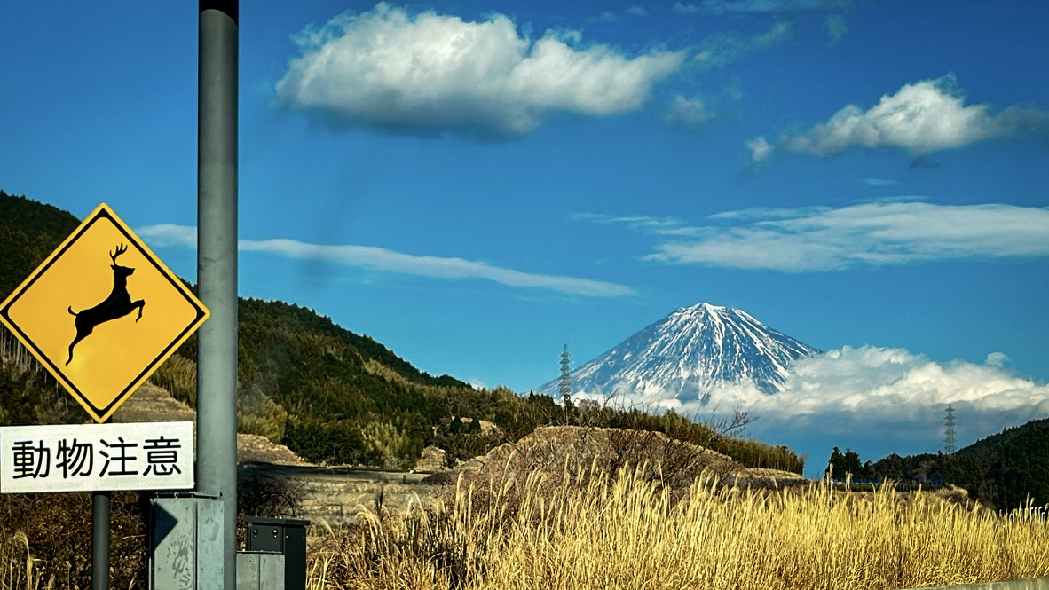 2EA75262-0DE2-46DA-A52C-5D31ED55073D_1_105_c