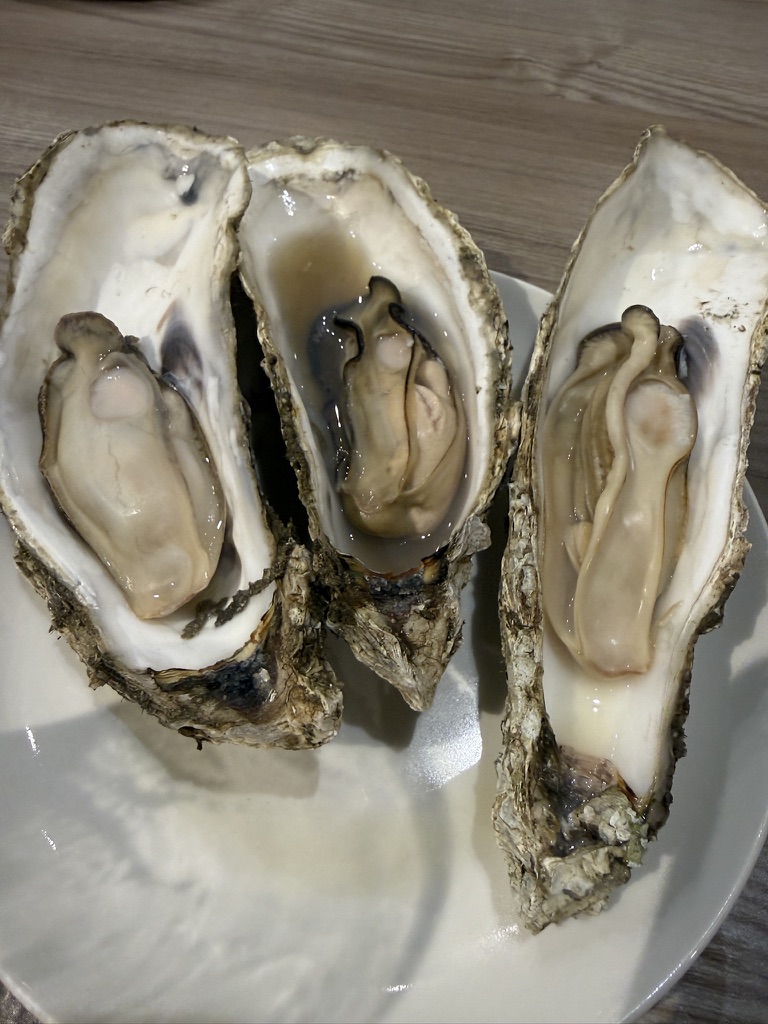 40F9CFC5-DE8F-439B-861F-395B003BA947_1_105_c