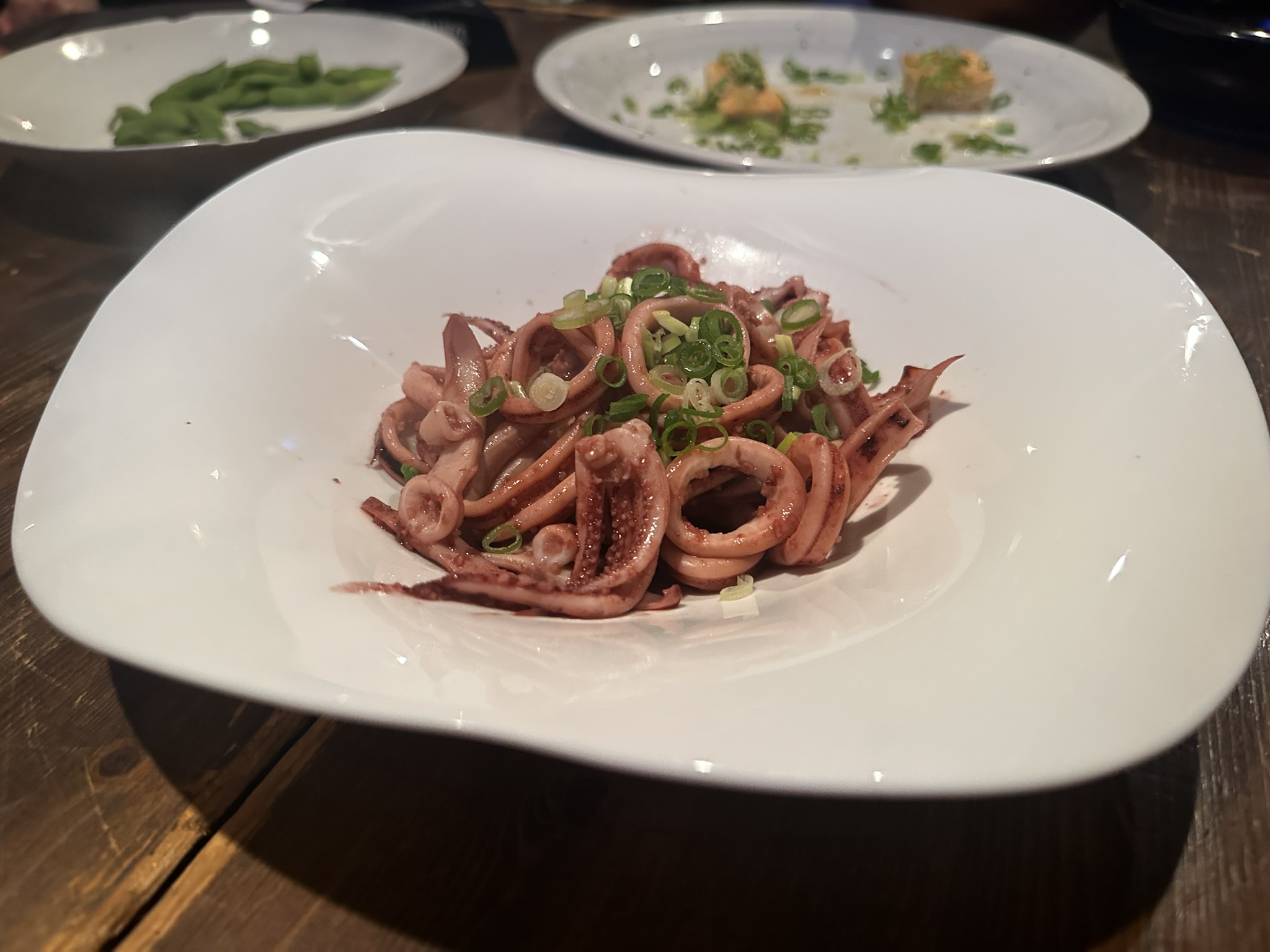 4B9C5F9A-C15F-4507-9EE3-AAB24704D77A_1_102_o