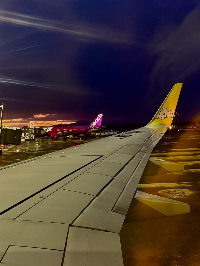 E26516C7-504F-4C2C-9909-280866F82ACD_1_105_c