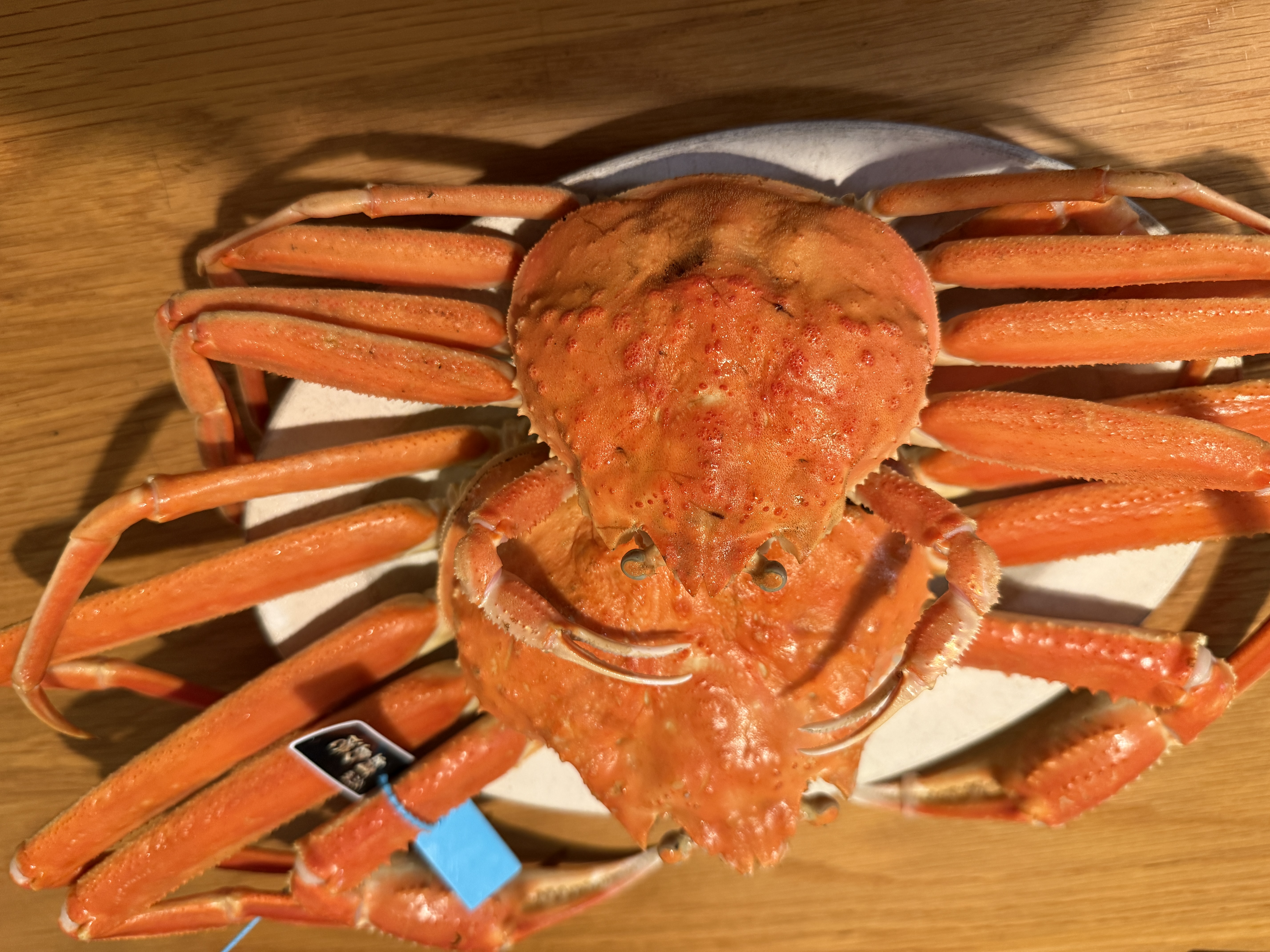 E5FDEBD8-B392-40BF-B1CB-6AFC7B44D50F